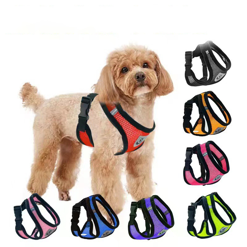Hot summer small dog pet chest - Mini Trampoline Spring recension och pris