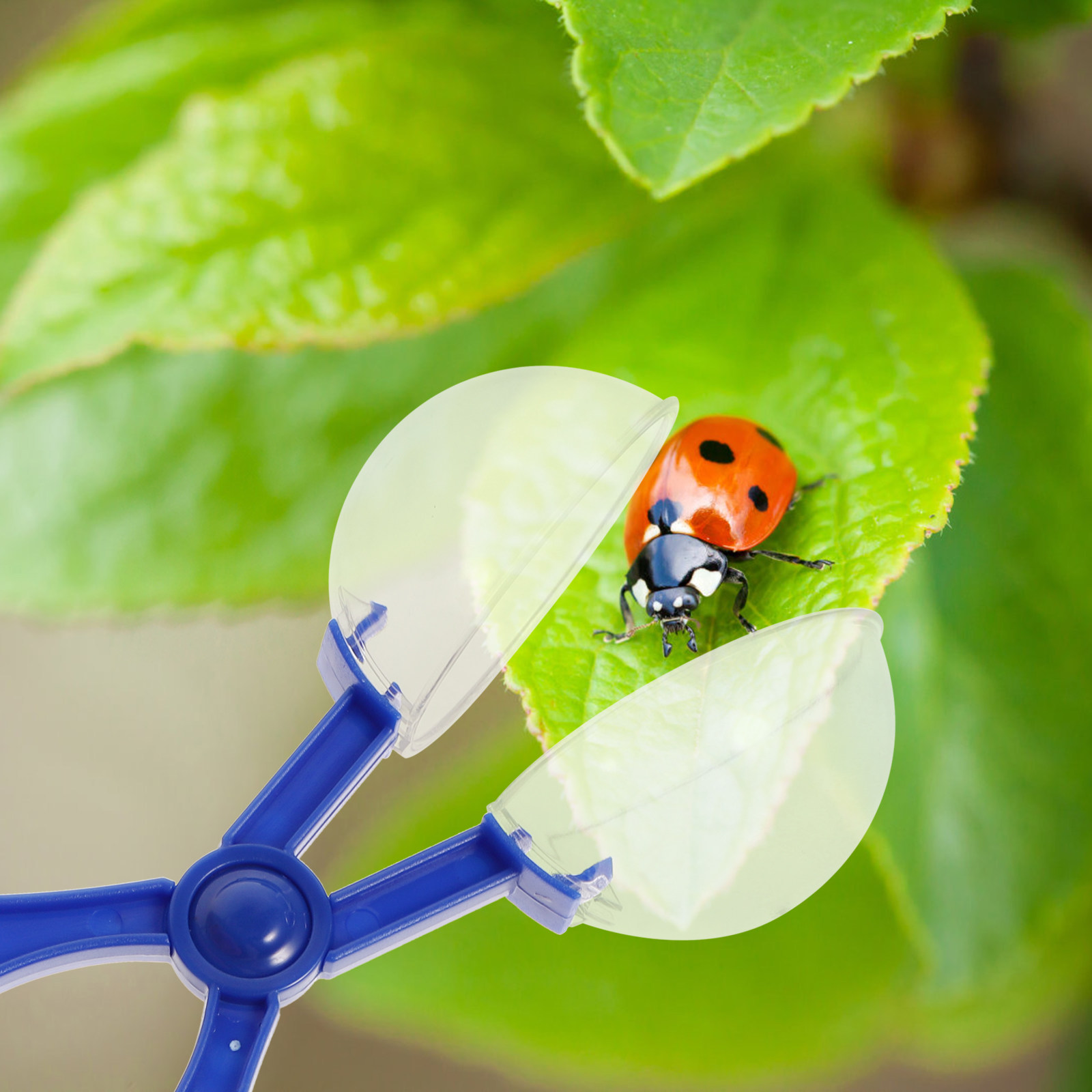 8Pcs Insect Catcher Scissors K - Kids Outdoor Fun recension och pris