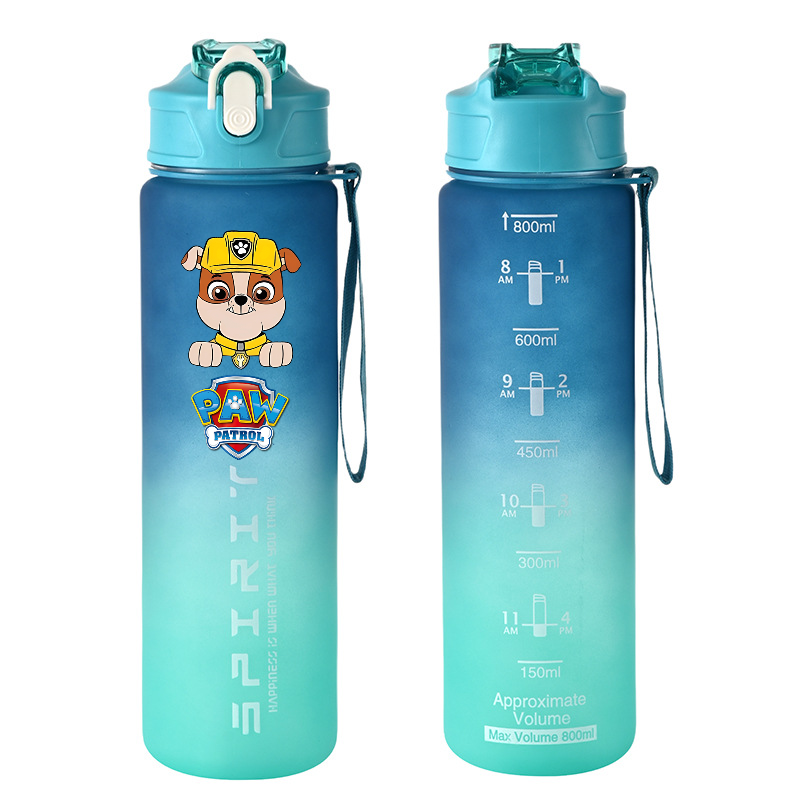 800ml PAW Patrol Sports Water  - Kids Outdoor Gym recension och pris